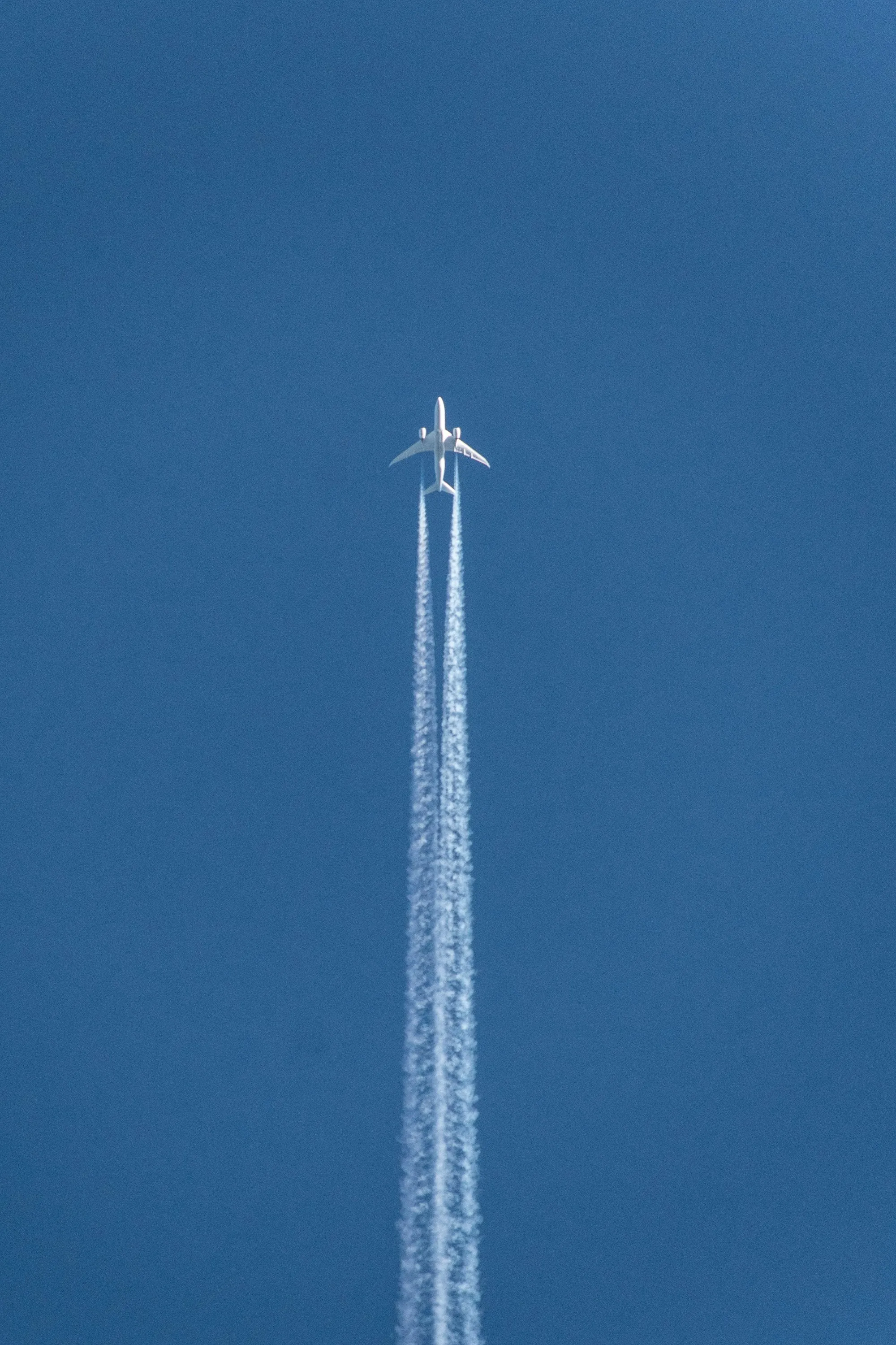 Plane Ben Klewais